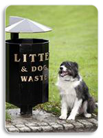 dog_and_bin